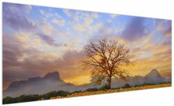 Mivali Tablou - Peisaj cu floarea soarelui, dintr-o bucată 250x125 cm (V022516V250125)