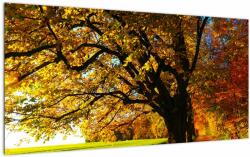 Mivali Tablou pe sticlă cu toamna, dintr-o bucată 100x50 cm pe sticlă (V020682V10050GD)