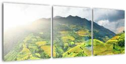 Mivali Tablou plantație, din trei bucăți 90x30 cm (V020635V9030)