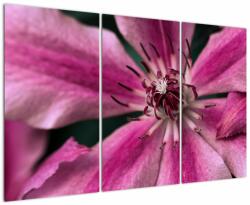 Mivali Tablou cu floarea roz de clematis, din trei bucăți 120x80 cm (V021607V120803PCS)