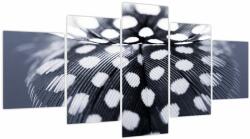 Mivali Tablou - Pană, din cinci bucăți 150x80 cm (V023864V150805PCS)