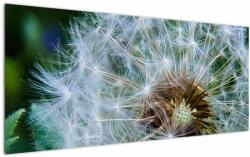 Mivali Tabloul cu păpădie desflorit, dintr-o bucată 120x50 cm (V020006V12050)