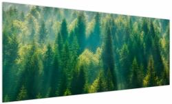 Mivali Tablou - Pădurea de brazi, dintr-o bucată 250x125 cm (V023338V250125)