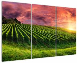 Mivali Tablou cu vie cu cerul color, din trei bucăți 120x80 cm (V020336V120803PCS)