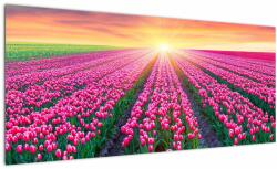 Mivali Tablou cu câmp de lalele cu soare, dintr-o bucată 100x40 cm (V020554V10040)