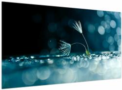 Mivali Tablou - Macro, dintr-o bucată 120x70 cm (V023731V12070)