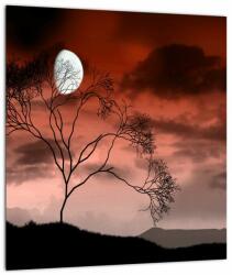 Mivali Tablou pe sticlă - Luna luminează noaptea, dintr-o bucată 30x30 cm pe sticlă (V021931V3030GD)