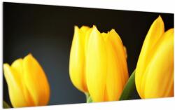 Mivali Tablou pe sticlă cu lalele, dintr-o bucată 100x50 cm pe sticlă (V020187V10050GD)