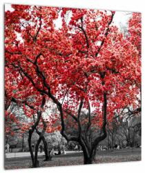 Mivali Tablou - Copacii roșii, Central Park, New York, dintr-o bucată 40x40 cm (V022930V4040)