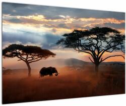 Mivali Tablou - Parcul Național Serengeti, Tanzania, Africa, dintr-o bucată 90x60 cm (V023034V9060)