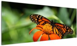 Mivali Tablou cu fluture pe floare, dintr-o bucată 145x58 cm (V021244V14558)