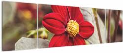 Mivali Tablou cu floare, din trei bucăți 170x50 cm (V020279V17050)