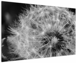 Mivali Tablou - mulțime de păpădii, dintr-o bucată 120x80 cm (V020117V12080)