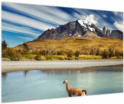 Mivali Tablou - Parcul Național Torres del Paine, dintr-o bucată 90x60 cm (V023745V9060)