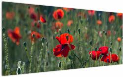 Mivali Tablou - Lunca cu maci, dintr-o bucată 120x50 cm (V022439V12050)