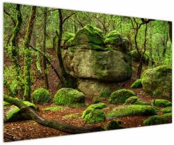 Mivali Tablou cu pădurea fermecată, dintr-o bucată 150x100 cm (V020867V150100)