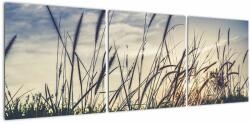Mivali Tablou cu flori de câmp, din trei bucăți 120x40 cm (V021185V12040)