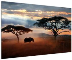 Mivali Tablou - Parcul Național Serengeti, Tanzania, Africa, dintr-o bucată 120x80 cm (V023034V12080)