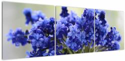 Mivali Tablou buchet cu flori albastre, din trei bucăți 150x50 cm (V020175V15050)