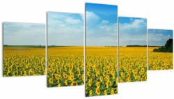 Mivali Tablou - câmp cu floarea soarelui, din cinci bucăți 150x80 cm (V020250V150805PCS)