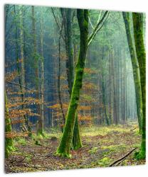 Mivali Tablou pe sticlă cu pădure, dintr-o bucată 40x40 cm pe sticlă (V020904V4040GD)