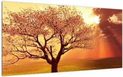 Mivali Tablou pe sticlă cu razele lui Dumnezeu, dintr-o bucată 100x50 cm pe sticlă (V021190V10050GD)