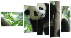 Mivali Tablou - Panda in copac, din cinci bucăți 110x60 cm (V023757V11060)