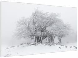 Mivali Tablou - Iarnă albă, dintr-o bucată 120x70 cm (V022824V12070)