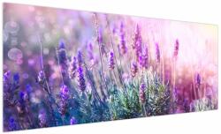 Mivali Tablou - Lavandă în strălucirea soarelui, dintr-o bucată 250x125 cm (V022464V250125)