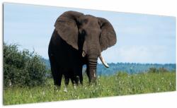 Mivali Tablou cu elefant, dintr-o bucată 100x40 cm (V021182V10040)