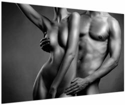 Mivali Tablou - Nud, dintr-o bucată 120x80 cm (V023762V12080)
