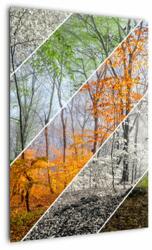 Mivali Tablou - Schimbarea anotimpurilor, dintr-o bucată 50x70 cm (V023320V5070)