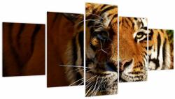 Mivali Tablou cu tigrul (cu ceas), din cinci bucăți 150x80 cm cu ceas (V021272V15080C)