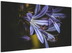 Mivali Tablou - Lila, dintr-o bucată 120x70 cm (V021731V12070)