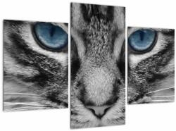 Mivali Tablou cu pisica, din trei bucăți 90x60 cm (V021221V90603PCS)