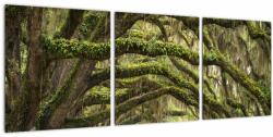 Mivali Tablou - Oaks Avenue, Charleston, Carolina de Sud, SUA, din trei bucăți 90x30 cm (V023285V9030)