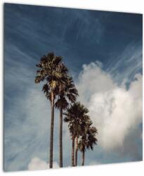 Mivali Tablou - Drama cu palmieri, dintr-o bucată 50x50 cm (V021676V5050)