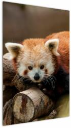 Mivali Tablou cu panda roșie, dintr-o bucată 60x90 cm (V020184V6090)