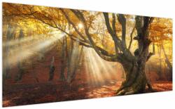 Mivali Tablou - Lumina de toamnă, dintr-o bucată 200x100 cm (V023856V200100)