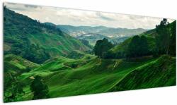 Mivali Tablou Plantații de ceai - Malaezia, dintr-o bucată 145x58 cm (V022493V14558)