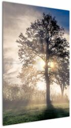 Mivali Tablou cu copac în ceață, dintr-o bucată 60x90 cm (V020378V6090)