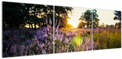 Mivali Tablou - Câmp cu lavandă, din trei bucăți 150x50 cm (V022695V15050)