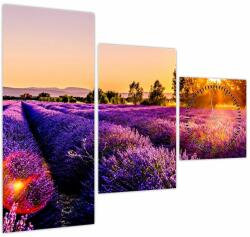 Mivali Tablou cu câmp de lavanda (cu ceas), din trei bucăți 90x70 cm cu ceas (V020540V9070C)