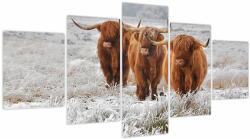 Mivali Tablou - Vaci scoțiene, din cinci bucăți 150x80 cm (V023866V150805PCS)
