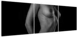Mivali Tablou - Nud feminin alb - negru, din trei bucăți 150x50 cm (V022891V15050)