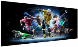 Mivali Tablou - Sport, dintr-o bucată 250x125 cm (V022991V250125)