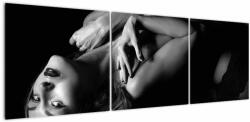 Mivali Tablou - Portretul femeii în lenjerie intimă, din trei bucăți 150x50 cm (V023494V15050)