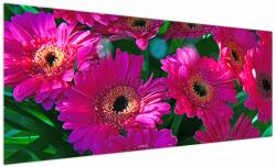 Mivali Tablou - floare, dintr-o bucată 250x125 cm (V020304V250125)