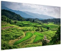 Mivali Tablou cu câmp de orez, dintr-o bucată 120x80 cm (V020271V12080)
