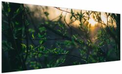 Mivali Tablou - Soarele strălucind printre crengile copacilor, dintr-o bucată 250x125 cm (V022735V250125)